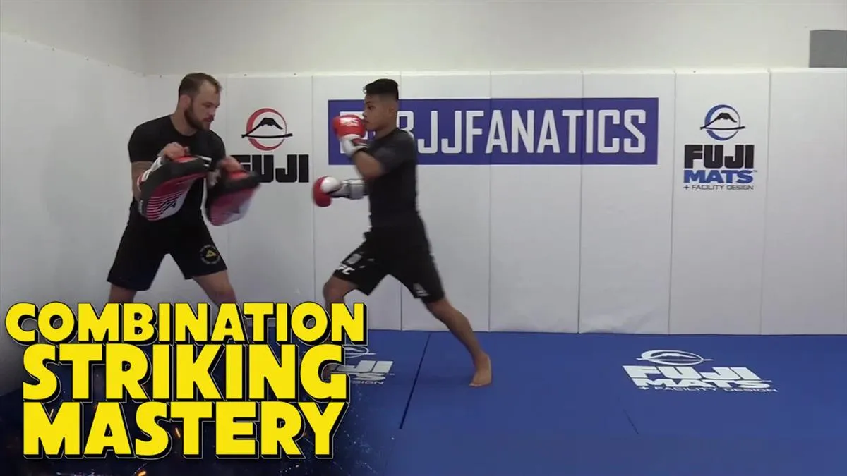 Combination Striking Mastery by Randy Steinke