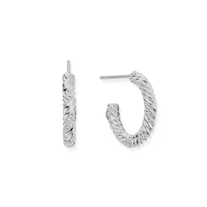 Entwined Passion Hoop Earrings SEH3208