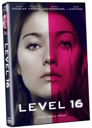 Level 16