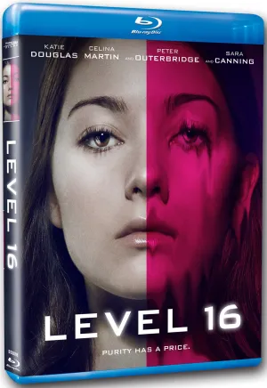 Level 16