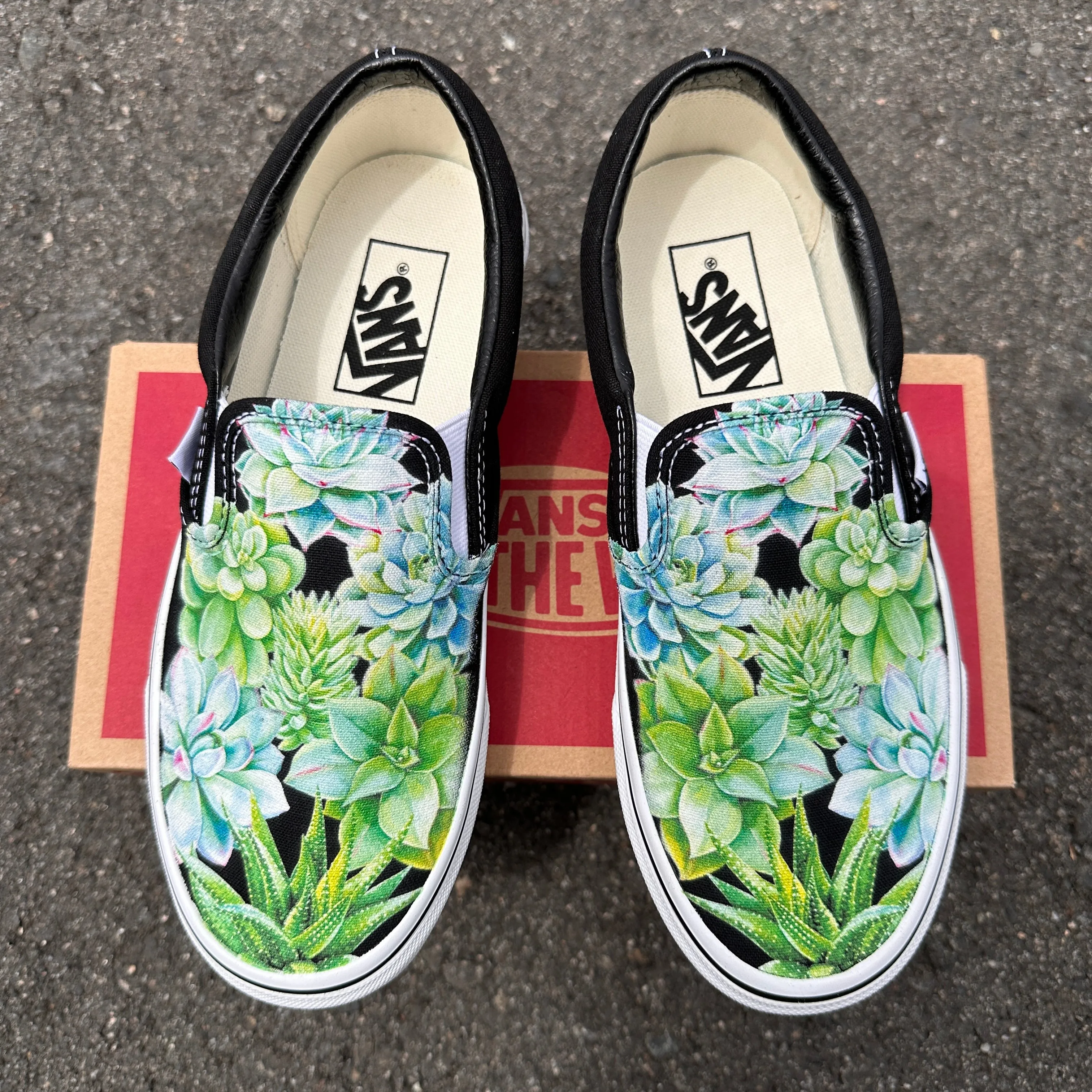 Sucker for Succulents - Black Slip On Vans